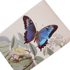 Fluttering As Butterfly - Revista Stickers y Papel Decorado