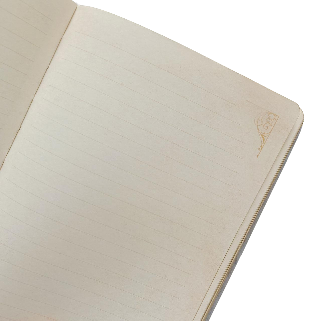 Libretas Hojas Decoradas Butterfly Marco Dorado