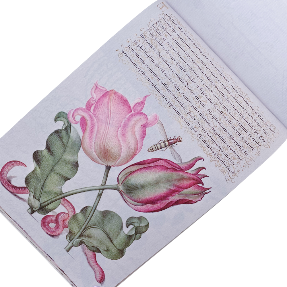 The Feeling of Old Time - Revista Stickers y Papel Decorado