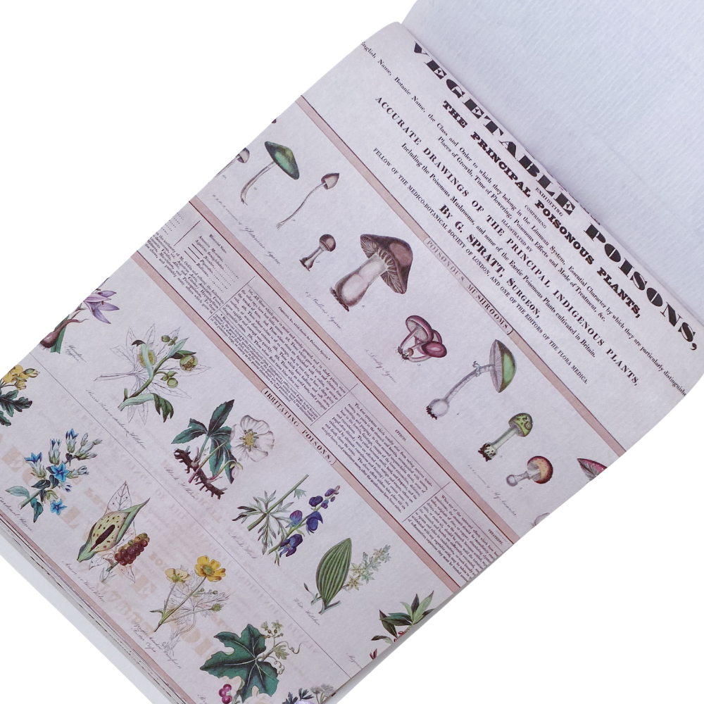 The Feeling of Old Time - Revista Stickers y Papel Decorado