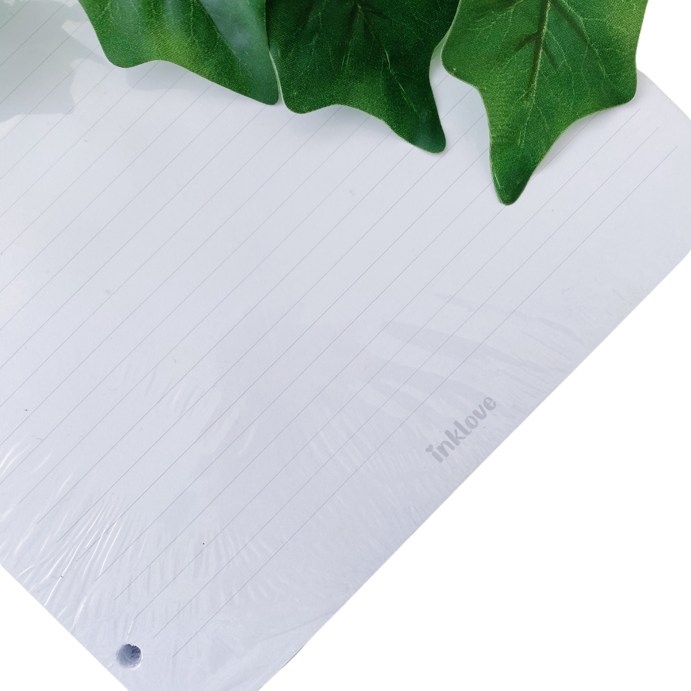 Hojas para Carpeta de Alto Gramaje - 100 Piezas
