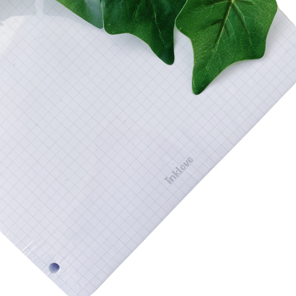 Hojas para Carpeta de Alto Gramaje - 100 Piezas