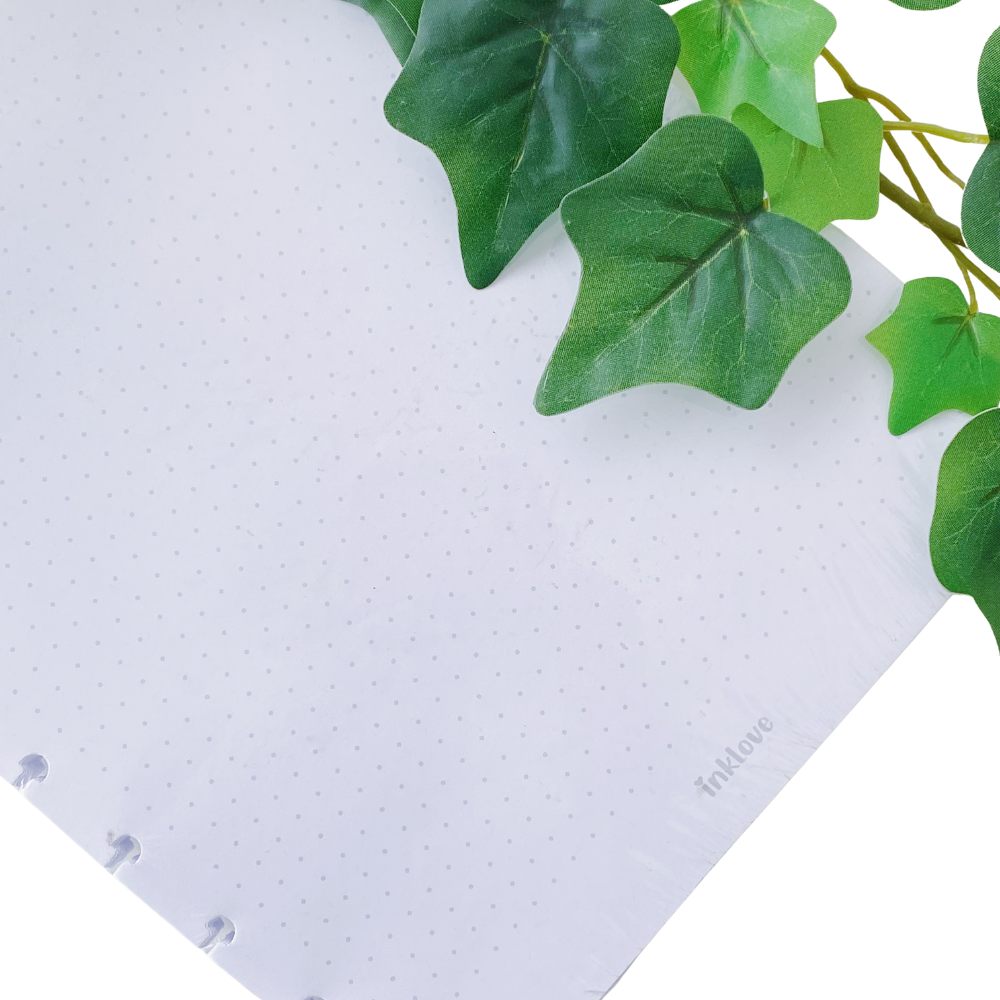 Hojas de Puntos para Cuaderno de Discos