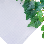 Hojas de Cuadro Chico para Cuaderno de Discos