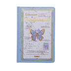Libreta Renacimiento y Transformación