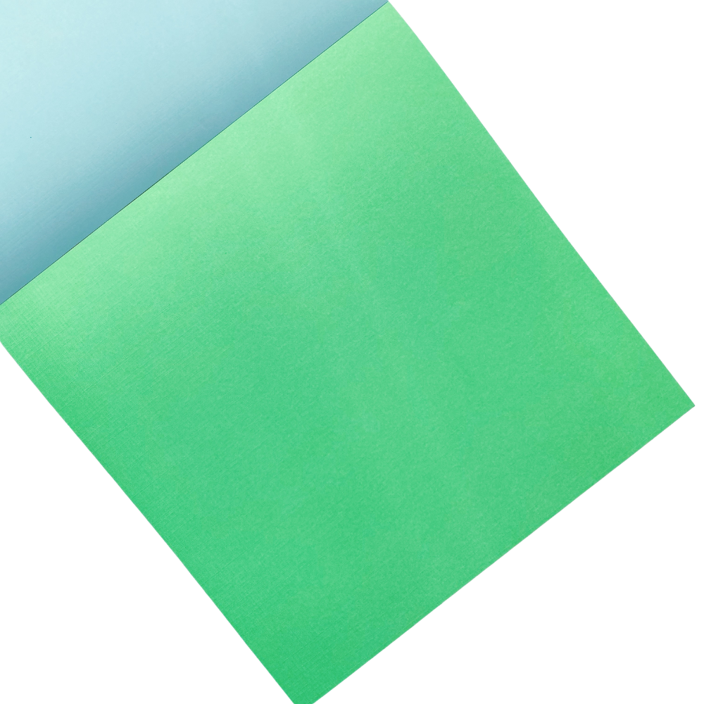 Fresh Solids - Paper Pad 12 x 12 in - Card Stock