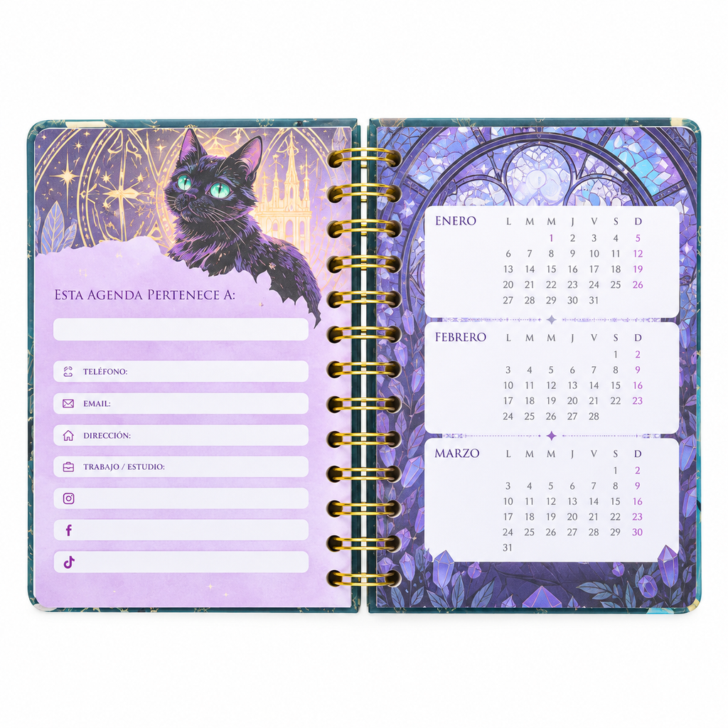 Agenda 2027 Gatitos Mágicos 🌙🐈‍⬛✨