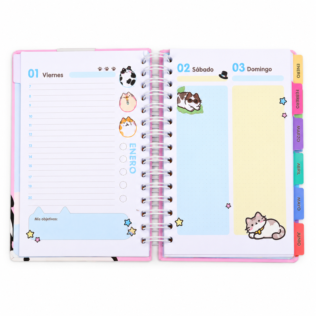 Agenda 2027 Gatitos Kawaii 🐱💖✨